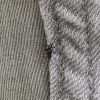 Aedes albopictus
