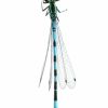 Coenagrion hastulatum